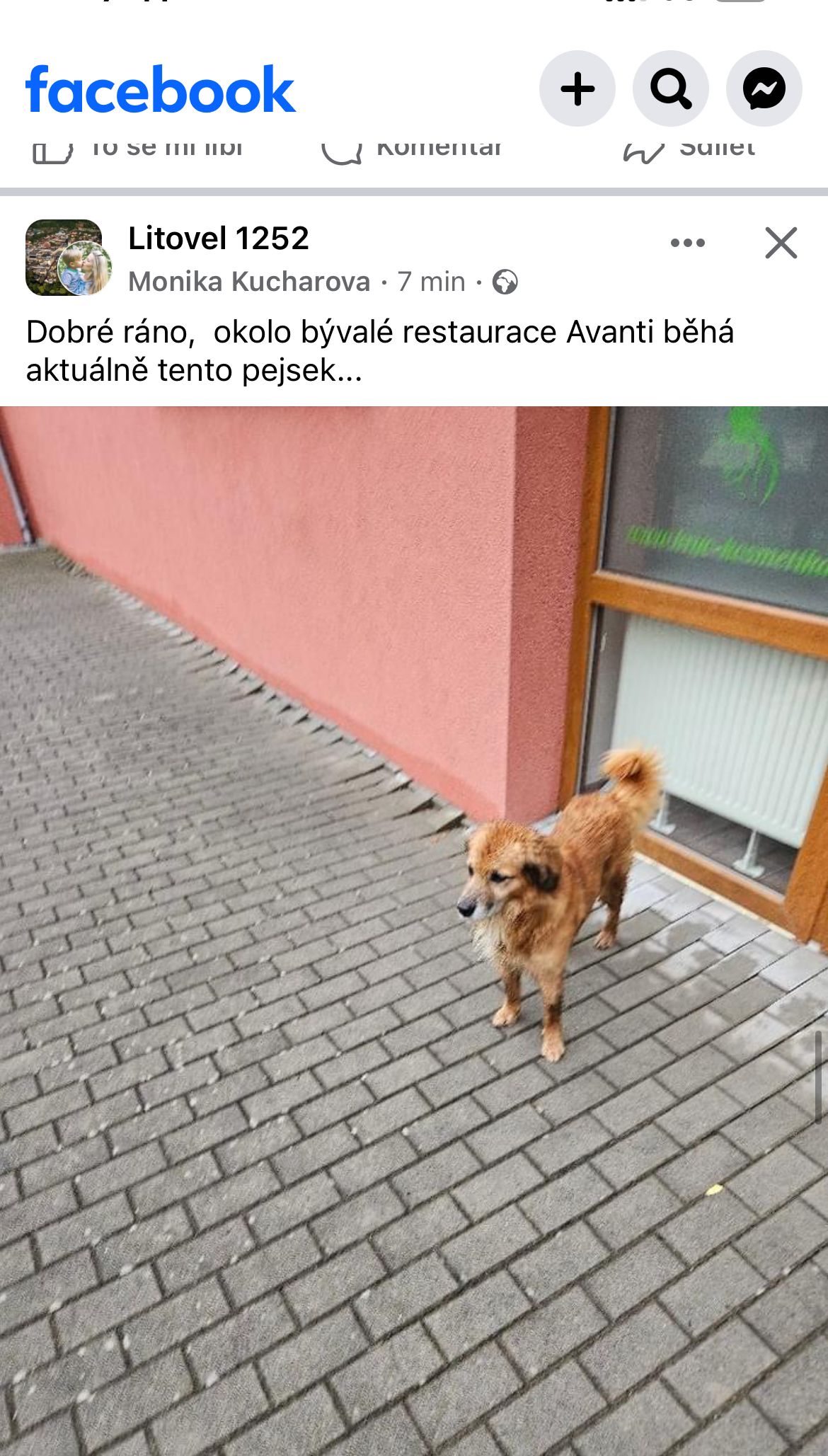 Inzerát obrázek